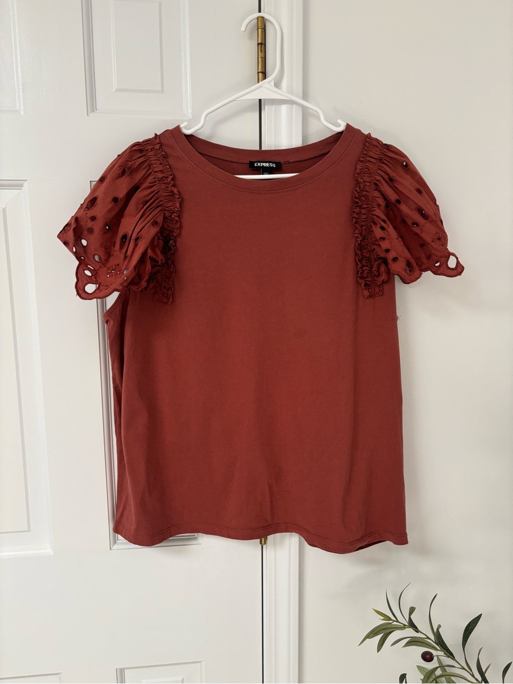 Express Women's Rust Red Eyelet Puff Sleeve Top